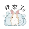 紐約狗狗2兔兔日常 14