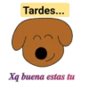 xq buenos 17