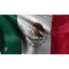 Viva México 14