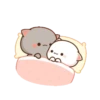 Любимый котенок 5