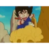 koki 4 Dragón ball 17