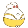 Bunny pantalones  MOV 9