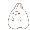 Cute White Rabbit  MOV 12