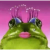 Diversidad frog 1 Movi 16