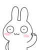 MR.rabbit   MOV 13