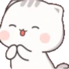 Kitty 1-20 14