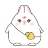 Cute White Rabbit  MOV 14