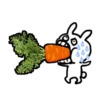 RABBITofGraffitiMOV 18