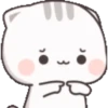 Kitty 1-20 18
