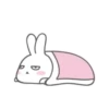 MR.rabbit   MOV 18