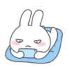 MR.rabbit   MOV 19