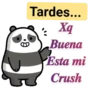 xq buenos 22