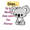 xq buenos 24