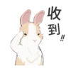 紐約狗狗2兔兔日常 20