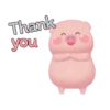 Pig 2   MOV 19