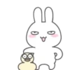MR.rabbit   MOV 21