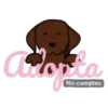 Adopta 1 Movi 24