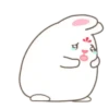 Cute White Rabbit  MOV 16