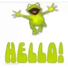 Diversidad frog 1 Movi 27