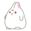 Cute White Rabbit  MOV 17