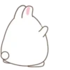Cute White Rabbit  MOV 18