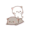 Любимый котенок 11