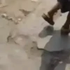 Tirate un paso Tilín 23
