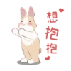 紐約狗狗2兔兔日常 22