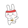 MR.rabbit   MOV 25