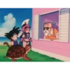 koki 4 Dragón ball 27