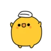 Cute egg yolk couple daily 24