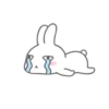 MR.rabbit   MOV 26