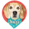 Adopta 1 Movi 30