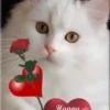 VALENTINES 1 MOVI 9