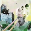 Arte Bizarro ️2 Movi 7