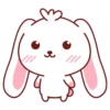 Bunny & Bear 8