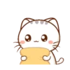 WEN Small Meow MOV#2,3,4,17 6