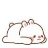 BUNNY Movi 6