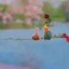 ️tiernos. mov 9