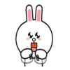 Brown&Cony Cute Couple ️ 6