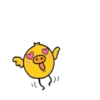 Little pig chick  .MOV 6