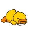 Cute Ducks Mov 12
