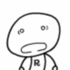 MR. DUCK mov 14