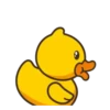 Cute Ducks Mov 13