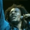 SURTID  MUSICAL 2 MOV 11