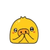 Little pig chick  .MOV 8