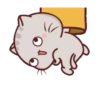 WEN Small Meow MOV#9 12