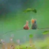 ️tiernos. mov 19