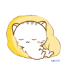 WEN Small Meow MOV#2,3,4,17 15