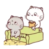 WEN Small Meow MOV#9 18